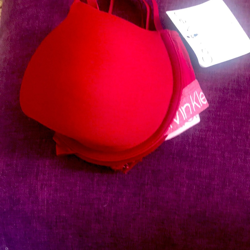 NWT CALVIN KLEIN SEDUCTIVE COMFORT LACE PUSH-UP BRA 34C